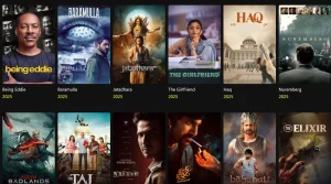 Cinemavilla